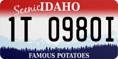 ID license plate 1T0980I