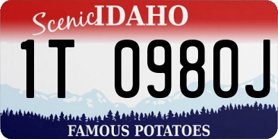 ID license plate 1T0980J