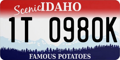 ID license plate 1T0980K