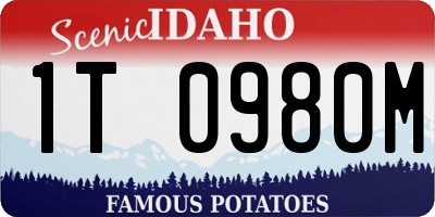 ID license plate 1T0980M