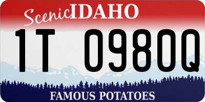ID license plate 1T0980Q
