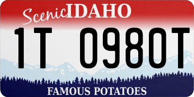 ID license plate 1T0980T