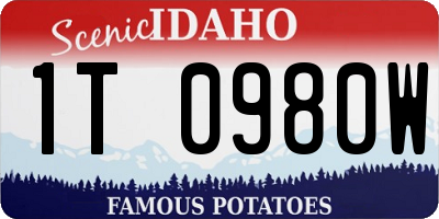 ID license plate 1T0980W