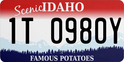 ID license plate 1T0980Y