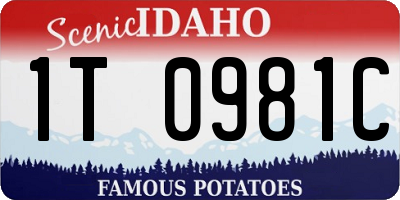 ID license plate 1T0981C