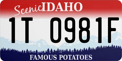 ID license plate 1T0981F