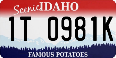 ID license plate 1T0981K