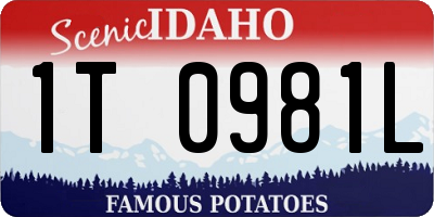 ID license plate 1T0981L