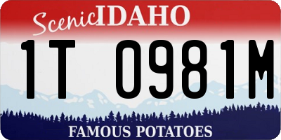 ID license plate 1T0981M