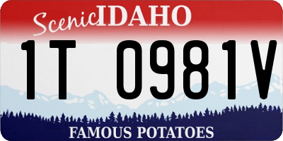 ID license plate 1T0981V