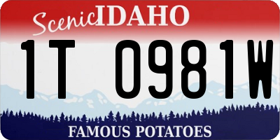 ID license plate 1T0981W