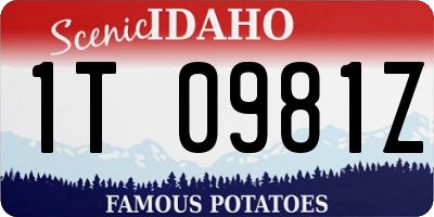 ID license plate 1T0981Z