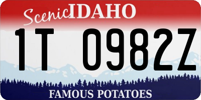 ID license plate 1T0982Z