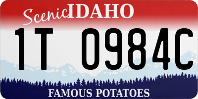 ID license plate 1T0984C