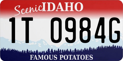 ID license plate 1T0984G