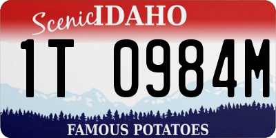 ID license plate 1T0984M