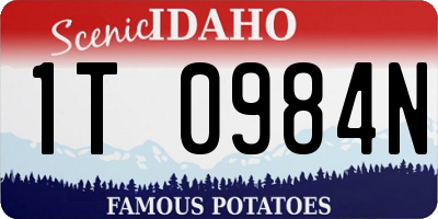 ID license plate 1T0984N