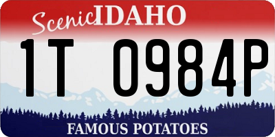 ID license plate 1T0984P