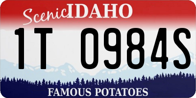 ID license plate 1T0984S