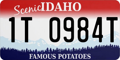 ID license plate 1T0984T