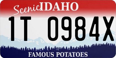 ID license plate 1T0984X