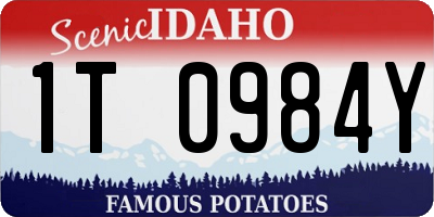ID license plate 1T0984Y