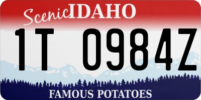 ID license plate 1T0984Z