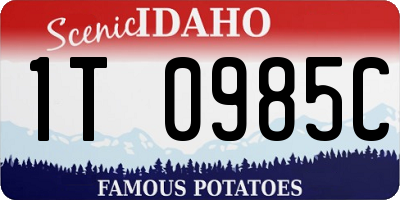ID license plate 1T0985C