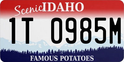 ID license plate 1T0985M