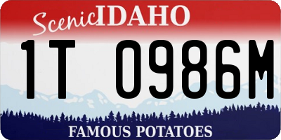ID license plate 1T0986M