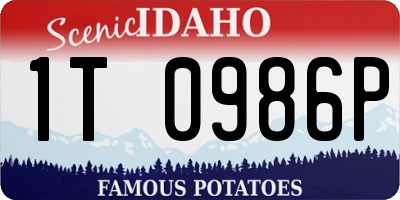 ID license plate 1T0986P