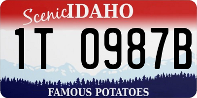 ID license plate 1T0987B