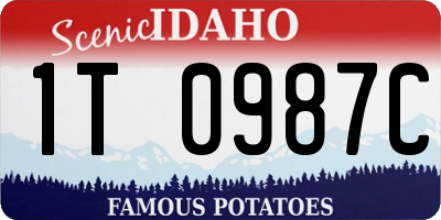 ID license plate 1T0987C