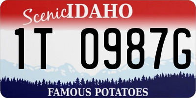 ID license plate 1T0987G