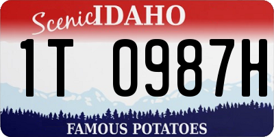 ID license plate 1T0987H