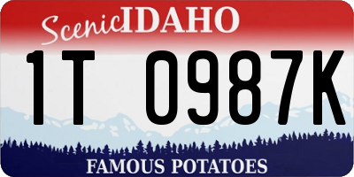 ID license plate 1T0987K