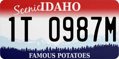 ID license plate 1T0987M