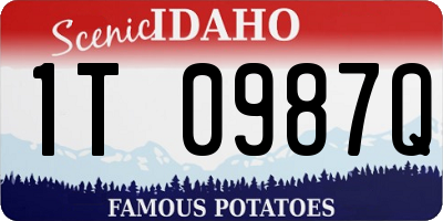ID license plate 1T0987Q