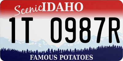 ID license plate 1T0987R
