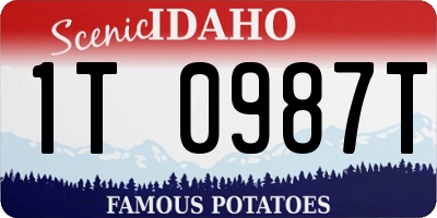 ID license plate 1T0987T
