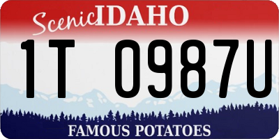 ID license plate 1T0987U