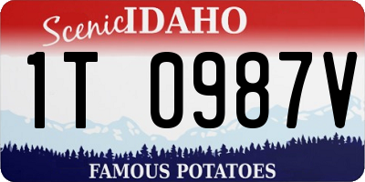 ID license plate 1T0987V