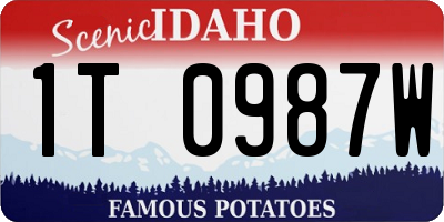 ID license plate 1T0987W