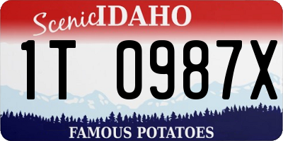 ID license plate 1T0987X