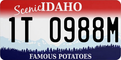 ID license plate 1T0988M