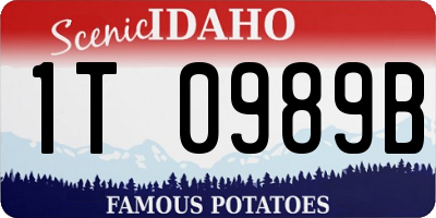 ID license plate 1T0989B