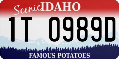 ID license plate 1T0989D
