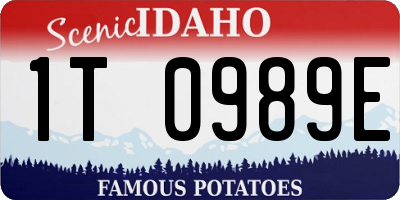 ID license plate 1T0989E