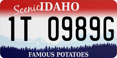 ID license plate 1T0989G