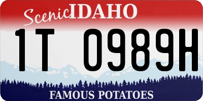 ID license plate 1T0989H